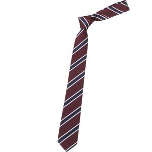 <span class=keywords><strong>Camisa</strong></span> de <span class=keywords><strong>Traje</strong></span> de Graduación Estilo Universitario Japonés para Mujer, Color Cian Dorado con Rayas Rojas, Estilo Informal, con <span class=keywords><strong>Corbata</strong></span> - Product Image 5