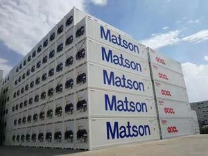 Быстрая доставка от двери до двери из Китая на склад FBA, экспресс-перевозчик для сборных грузов (LCL) + автоперевозок, срок перевозки 16-29 дней, страхование. - Product Image 5