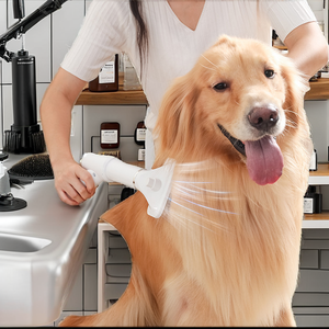 Peigne de luxe 2-en-1 pour animaux de compagnie, sèche-cheveux pour chiens, toiletteur, chats, chiots, chatons, outils de toilettage, vente en gros EUR - Product Image 2