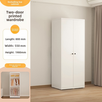Armoire Pliante Moderne en Acier, Design Écologique, 2 Étagères, Autoportante pour Rangement de Chambre d'Appartement, Meuble de Maison