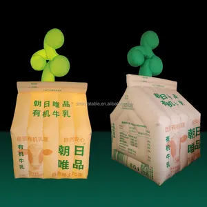 Thiết kế mới Inflatable Cube với hoa để bán