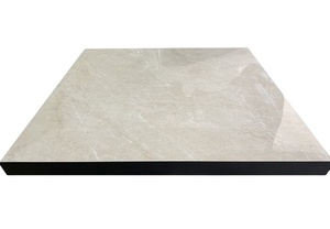 بلاط أرضيات حديث مضاد للكهرباء الساكنة ومقاوم للماء 600*600 مم، أرضيات سيراميك للورش والغرف النظيفة والمستشفيات - Product Image 3