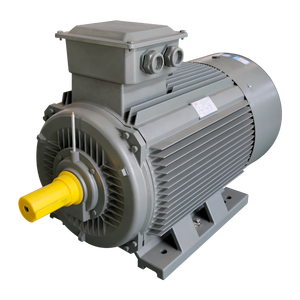 IE3 315L1 10 극 60hz 600 RPM 비동기 러시아 유도 모터 가격 <span class=keywords><strong>75kw</strong></span> 100hp 110v 높은 토크 낮은 RPM 전기 모터 - Product Image 1