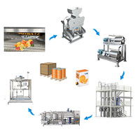 1-200 T/h Citrus Citroen Sinaasappelsap Productielijn Vruchtensap Maken Machine Half Snijtype Extractor