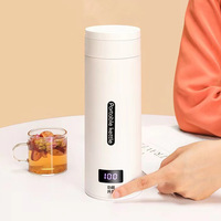 Bouilloire Électrique Portable 300W 304 500ml 4 Réglages de Température Arrêt Automatique Protection Anti-Ébullition à Sec Anti-Fuite Utilisation Maison et Voyage