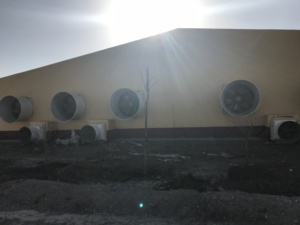 Ventilateur de ventilation FRP breveté PH à économie d'énergie avec 6 lames SUS 304 pour équipement de ferme avicole et d'élevage Garantie 1 an - Product Image 4