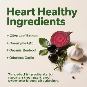 Usine de fabrication certifiée GMP disponible pour les compléments alimentaires à base de feuilles d'olivier et de <span class=keywords><strong>coenzyme</strong></span> <span class=keywords><strong>Q10</strong></span> en OEM/ODM - Product Image 4