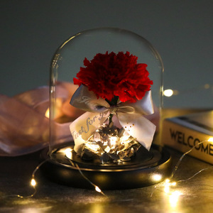 ดอกกุหลาบเกรด A แบบขายส่งในโดมแก้ว - ดอกไม้แห้งอมตะ ของขวัญ DIY สำหรับเธอ วันแม่ และวันวาเลนไทน์ - Product Image 2