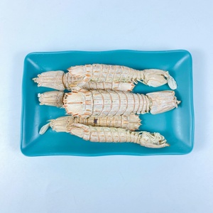 Friandises pour chats de qualité supérieure, riches en calcium, à base de vrais fruits de mer, en petites lots, saines et croustillantes, marque privée, crevettes mantis lyophilisées - Product Image 6