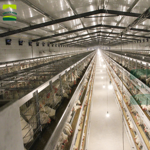 Hot Bán thiết kế mới tự động gà lồng nhà lõi thành phần gia cầm trang trại h-loại pin lồng cho lớp - Product Image 6