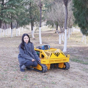 Tondeuse robot autotractée AWY 550S à moteur 4 temps à essence, télécommandée, avec broyeur à fléaux, 212 cm³, pelle à neige et déneigeuse en pente en option - Product Image 1