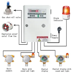 China Vaste Explosieveilige Lpg Lek Co2 Carbon Bioxide Ph3 Ammoniak Waterstof Chloor Ozon Sensor Meter Detectie Gas Detector