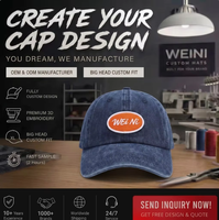 Cappello da Baseball Vintage Lavato e Invecchiato WEINI con Logo Ovale Intrecciato, in Morbido Cotone Regolabile, per Uso Quotidiano e Street Style