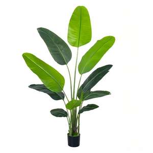 Piante Artificiali Decorative da Interno ad Alta Fedeltà e Tocco Realistico, Ravenala Madagascariensis Adans, Vendita Diretta dalla Fabbrica - Product Image 4
