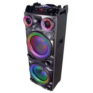2022 new double 12 inch 100W RMS portable karaoke wooden speaker super driver