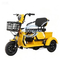Tricycle électrique moderne à double usage pour le transport urbain