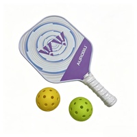 Raquette de pickleball en fibre de verre de haute qualité 14 mm avec protection de bord, logo personnalisé OEM ODM