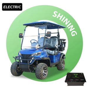 Shininglsv Oo ब्लैक इलेक्ट्रिक गोल्फ कार्ट 4 सीटों उच्च विन्यास 48v 100ah लिथियम बैटरी 5 kw गोल्फ कार्ट - Product Image 1