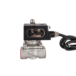 Válvulas Solenoides Unidireccionales Universales 2W-200-25B de Fábrica para Control de Agua y Gas, Personalización OEM Disponible - Product Image 1