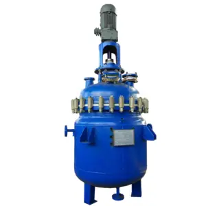 Glass Lined Pressure Vessel