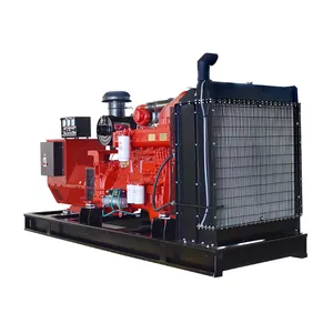 China Merk 200kw 250kva Wd10 Ricardo Diesel Generator Open Type Te Koop