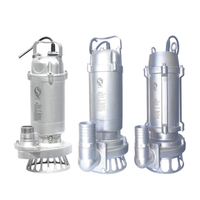 WQ (D) série S304 acier inoxydable 2HP 1.5 pouces-2 pouces 10m pompe à boue Submersible Portable monophasé