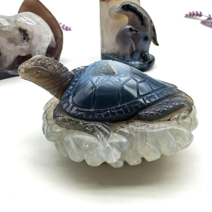 Tinh Thể Tự Nhiên Tay Khắc Druzy Agate Lizard Đánh Bóng Pha Lê Thủ Công Druzy Turtles Động Vật Cho Trang Trí Nội Thất - Product Image 2