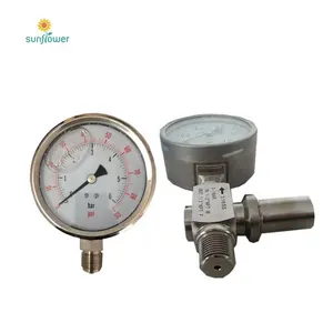 Chongqing China Leverancier Sf6 Gas Dichtheid Monitor Ondersteunt Hoogspanningsstroomonderbrekers Hot Verkoop Sf6 Test Manometer