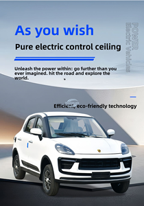 <b>Cooling</b> <b>System</b> 4 Wheel New Energy Car 201-300km Range with AC Tempered Glass 2026 Model - Product Image 3