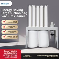 Aspirateur cyclonique portatif à économie d'énergie ShengLin pour le travail du bois, extracteur de poussière