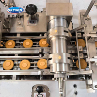 Máquina de Relleno de Galletas Tipo Sándwich de Crema de Dos Carriles Skywin con Línea de Empaquetado