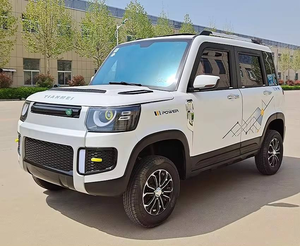 Oferta Especial: Vehículos Eléctricos de Baja Velocidad Personalizados, 2000w, Coche Pequeño de 4 Ruedas, Autos Eléctricos Económicos con Batería de Litio de 72V200Ah para Adultos - Product Image 1