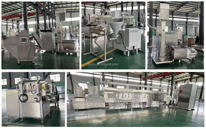 2024 thiết kế mới Ngô Ngô mảnh dây chuyền chế biến Yến Mạch Ăn sáng ngũ cốc căng phồng làm cho máy - Product Image 5