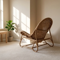 Chaises en rotin modernes et luxueuses, nouvelle conception - Durables et imperméables pour salon, chambre, appartement, bureau à domicile et salle à manger