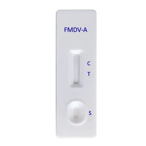Teste Anticorpo Tuberculose Bovina - Product Image 4