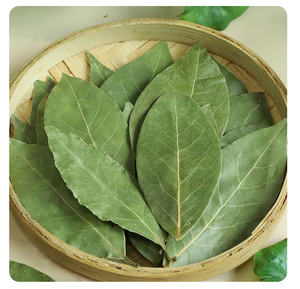 Feuilles <span class=keywords><strong>de</strong></span> <span class=keywords><strong>laurier</strong></span> séchées entières bien séchées Épices <span class=keywords><strong>de</strong></span> haute qualité en gros <span class=keywords><strong>Feuille</strong></span> <span class=keywords><strong>de</strong></span> <span class=keywords><strong>laurier</strong></span> - Product Image 4
