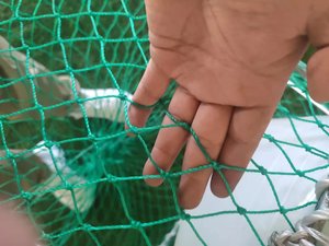 100mm Khung thép dày lồng tròn bẫy bẫy Nylon PE nuôi trồng thủy sản bẫy Vua tôm hùm creel <span class=keywords><strong>whelk</strong></span> cua nồi Net - Product Image 2
