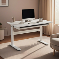 Bureau de bureau élévateur électrique ergonomique professionnel Table réglable en hauteur manuelle étagère de rangement Durable bureau assis debout