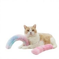 Jouet pour chat et chien : Bâtonnet de chat en peluche avec pochette à herbe à chat et saveur menthe à mâcher, design dégradé