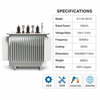 Transformateur de distribution de puissance triphasé immergé dans l'huile, bobinage en cuivre, 10 kV, 100 kVA, modèle S11, OEM personnalisé Wanbo-261
