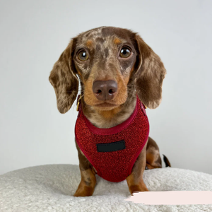 Set kerah anjing dan tali anjing desain khusus dengan kain mengkilap poliester lembut merah Harness anjing Set - Product Image 2