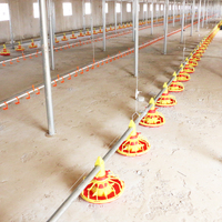 Équipement automatique de ferme de poulet de haute qualité poulet pour l'élevage de volailles
