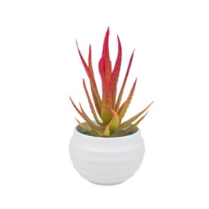 Mini Plante Succulente Artificielle <span class=keywords><strong>Aloe</strong></span> <span class=keywords><strong>Vera</strong></span> 7cm, Style Nordique Simple et Créatif, Origine Chine, pour Maison et <span class=keywords><strong>Bureau</strong></span> - Product Image 5