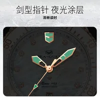 Montre pour homme Seagull Lady, bracelet en cuir mécanique, sport, luxe, cadran en nacre, étanche 30 bars, série Ocean Pro