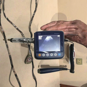 Escáner de Ultrasonido Veterinario Portátil para Detección de Gestación en Animales, Cerdos, Ovejas, Perros, Máquina de Ultrasonido B de Mano Ligera - Product Image 3