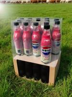 Vente en gros de nouvelles boissons gazeuses Pepsis sans sucre, cola, citron, soda fruité en bouteille de 500 ml