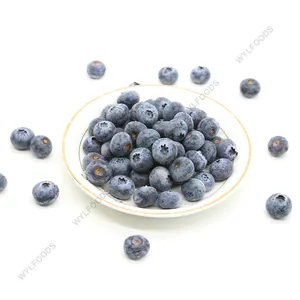 BRC/HACCP/SEDEX Export bulk IQF frozen blueberry price frozen fruits for juice jam