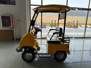 Voitures de golf électriques chinoises 2, 4 et 6 places à prix abordables, buggy à vendre, voiturette de golf motorisée pour un seul conducteur - Product Image 6