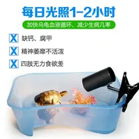 Lampe chauffante pour tortue, lumière chauffante à spectre complet, ampoule solaire, supplément de calcium, chauffe-tortue pour terrarium de reptiles
