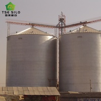 Düz Tabanlı Tahıl Depolama Çelik Silosu Büyük Tahıl Çiftlikleri ve İşleme Tesisleri için Tarım Ekipmanı 2000-20000 Ton